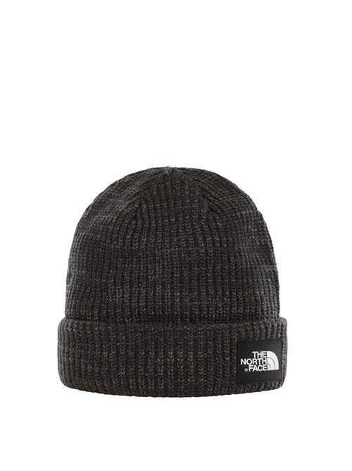 salty dog beanie THE NORTH FACE | NF0A3FJWJK31.JK31